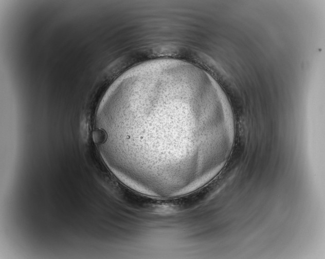 X0000099580741200805301559