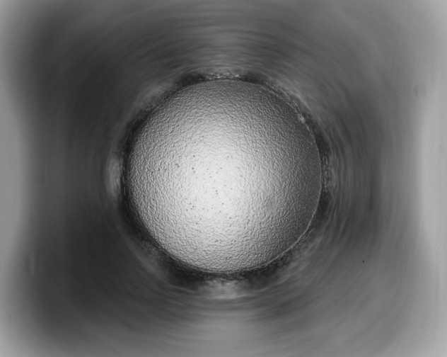 X0000099580742200805301559