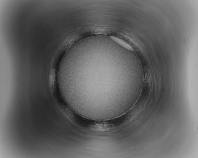 X0000099580744200805301559