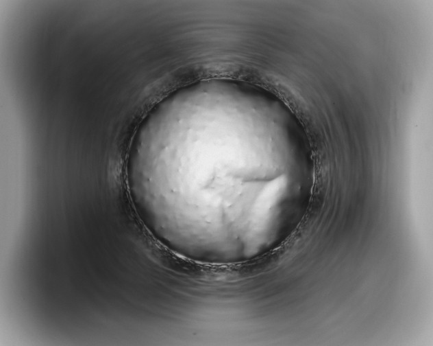 X0000099580745200805301559