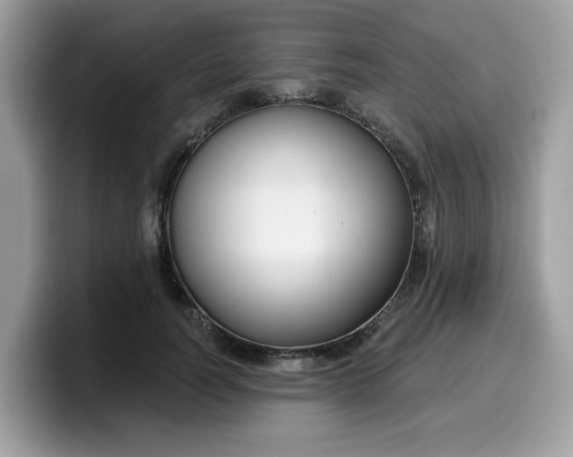 X0000099580746200805301559