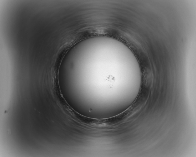 X0000099580747200805301559