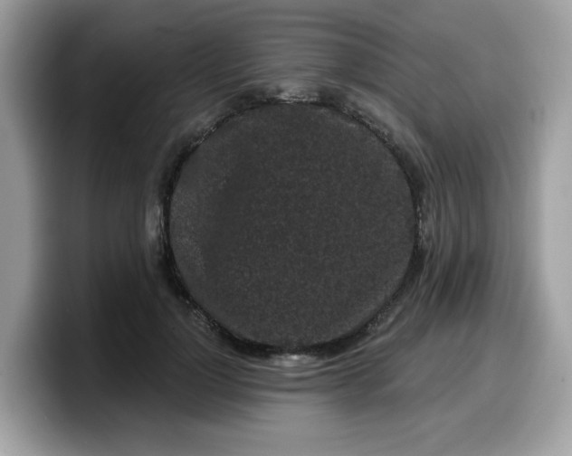 X0000099580748200805301559