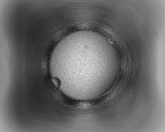 X0000099580749200805301559