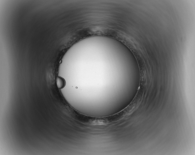 X0000099580751200805301559