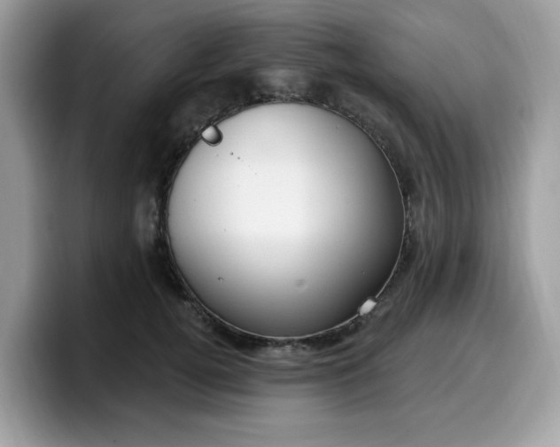 X0000099580752200805301559