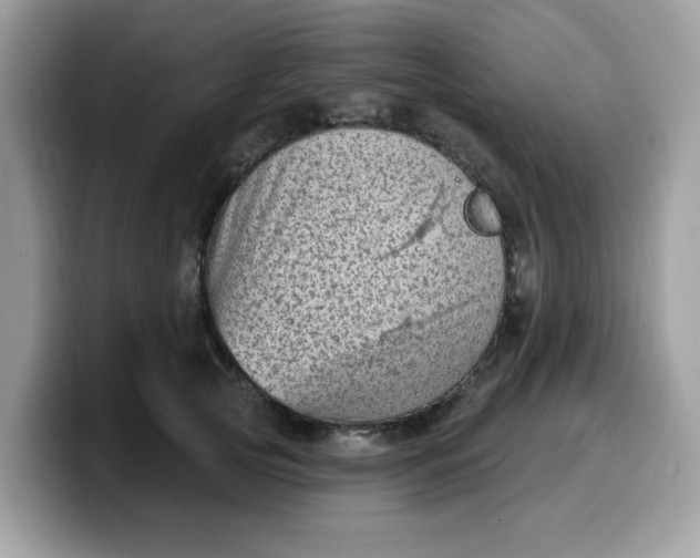 X0000099580753200805301559