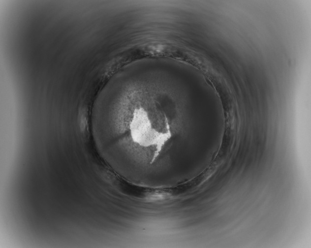 X0000099580754200805301559