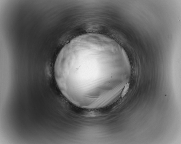 X0000099580755200805301559