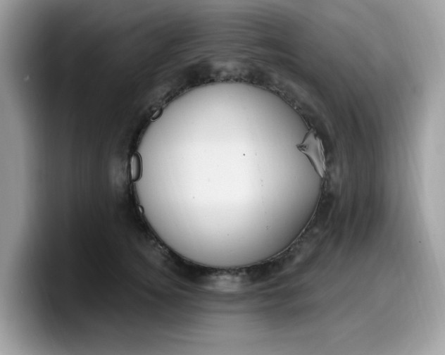 X0000099580756200805301559