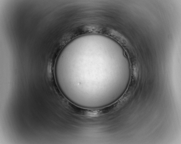 X0000099580757200805301559