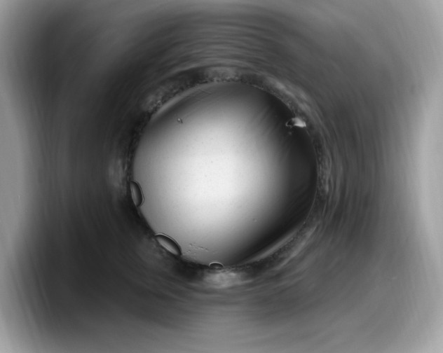 X0000099580759200805301559