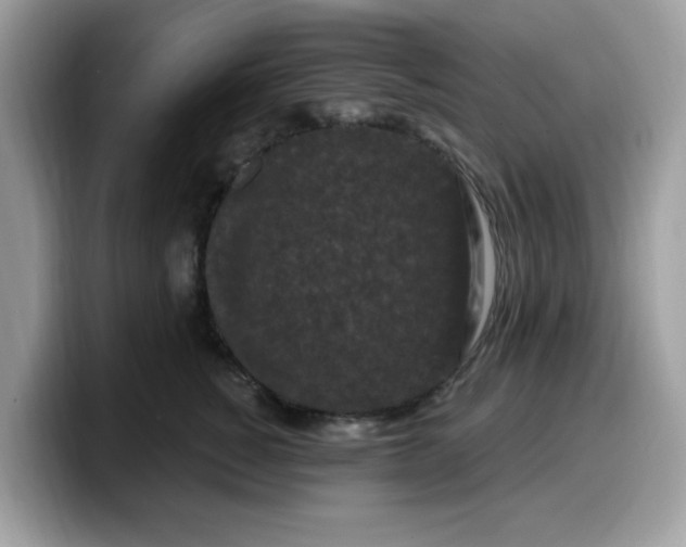 X0000099580760200805301559