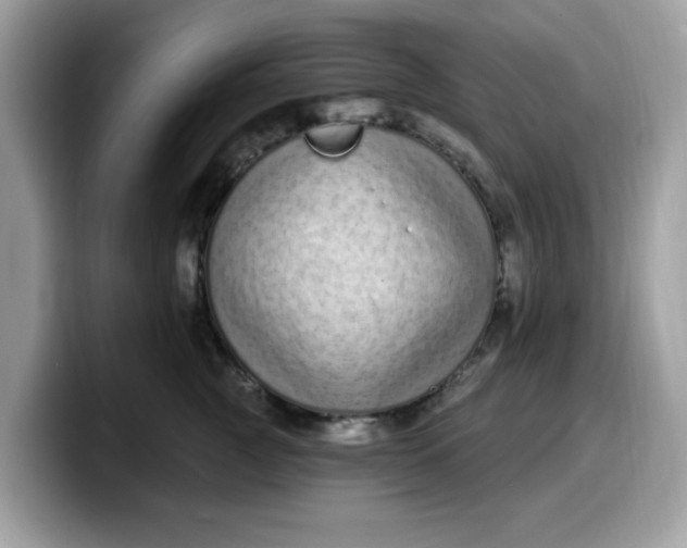 X0000099580761200805301559