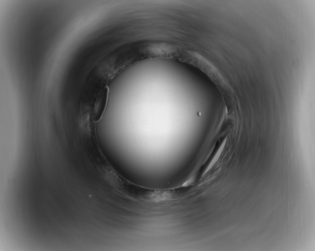 X0000099580762200805301559