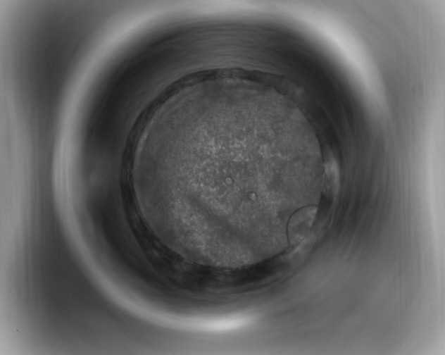 X0000099580765200805301559