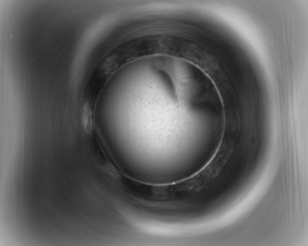 X0000099580766200805301559