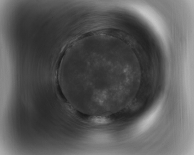 X0000099580767200805301559