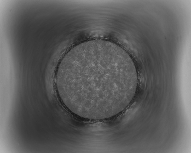 X0000099580769200805301558