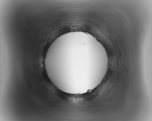 X0000099580770200805301558