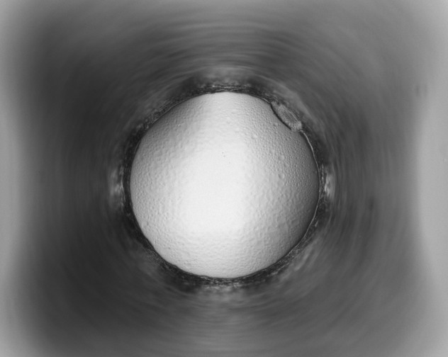 X0000099580771200805301558