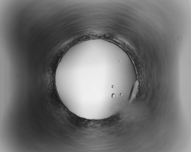 X0000099580773200805301558