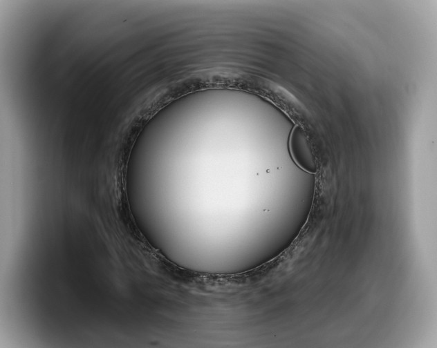 X0000099580774200805301558