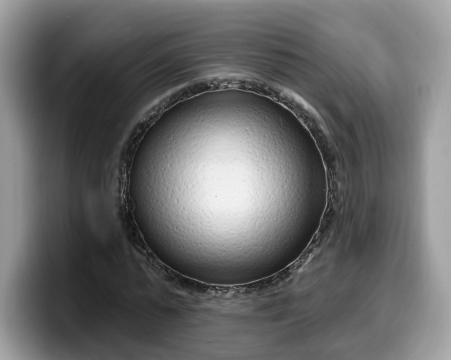 X0000099580775200805301558