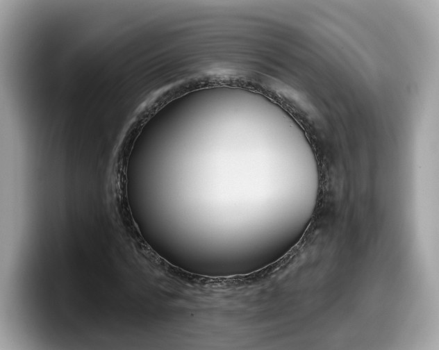 X0000099580776200805301558