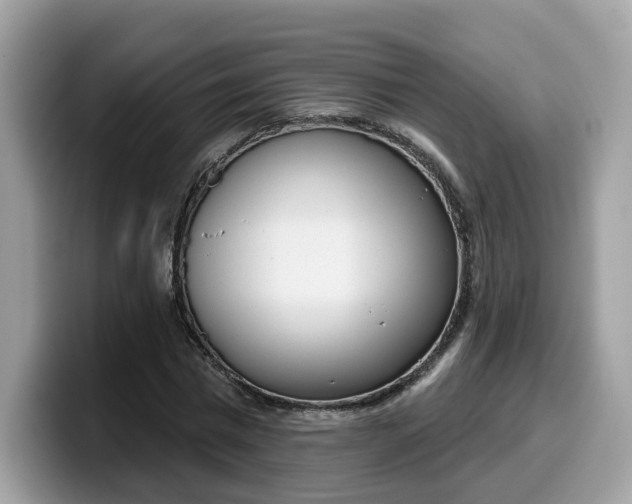 X0000099580777200805301558