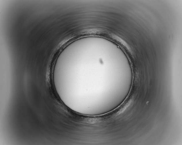 X0000099580778200805301558