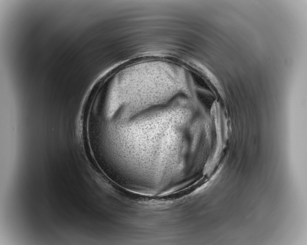 X0000099580779200805301558