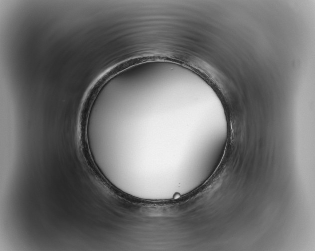 X0000099580780200805301558