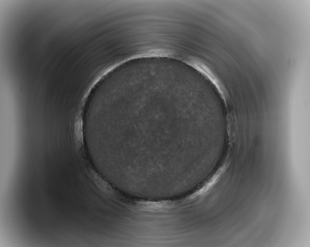 X0000099580781200805301558