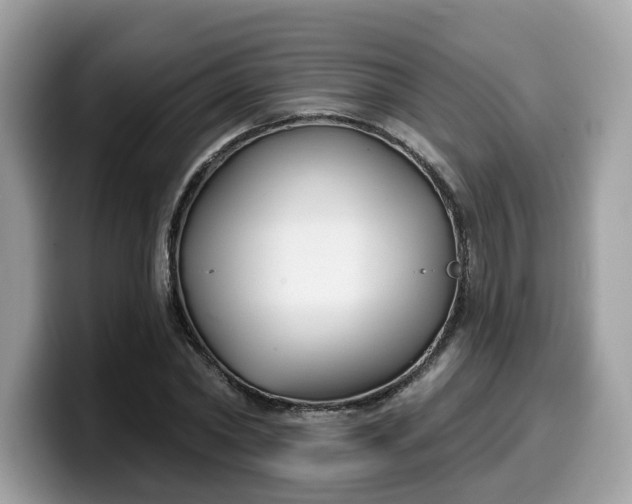 X0000099580782200805301558