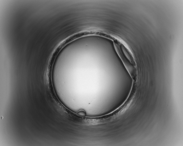 X0000099580783200805301558