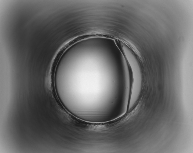 X0000099580784200805301558