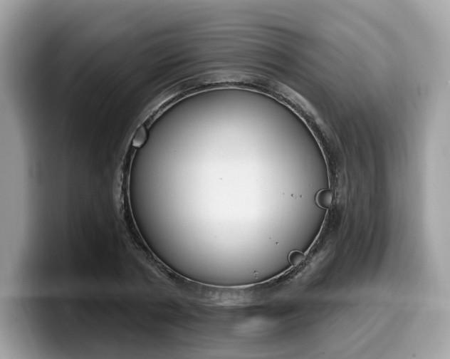 X0000099580786200805301558