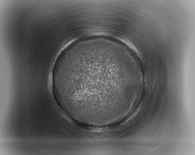 X0000099580790200805301558