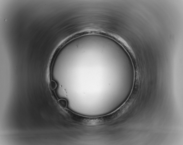 X0000099580791200805301558