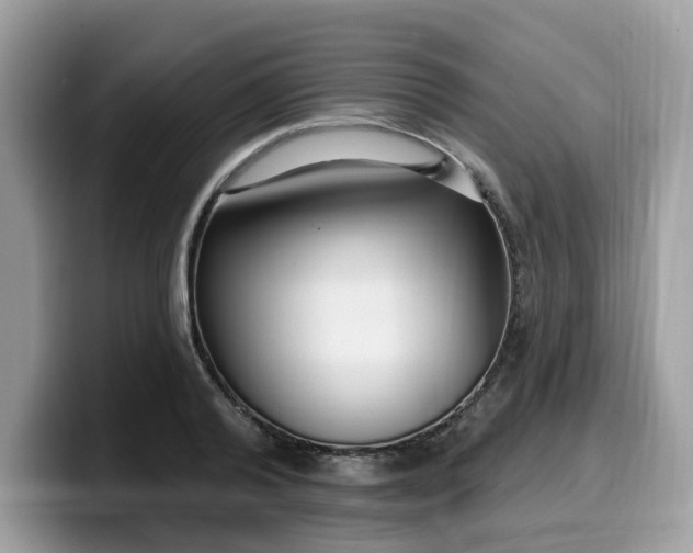 X0000099580792200805301558