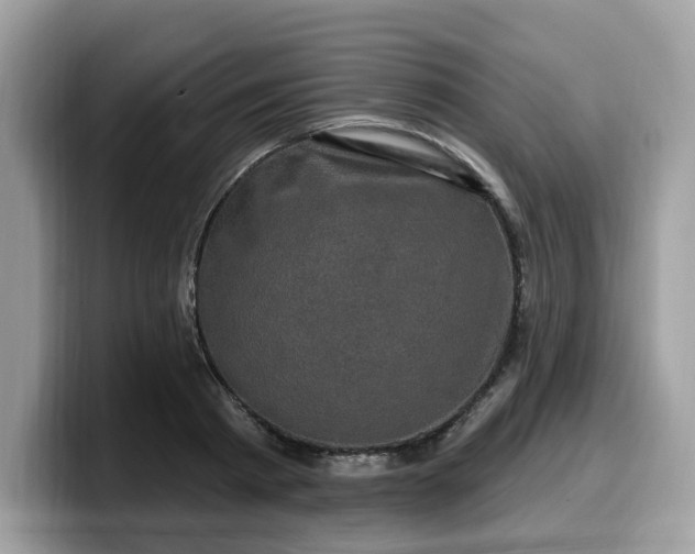 X0000099580793200805301558