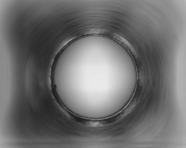 X0000099580794200805301558