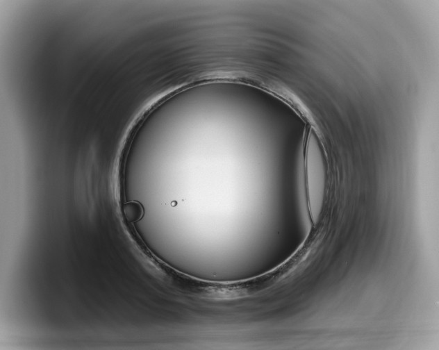 X0000099580795200805301558