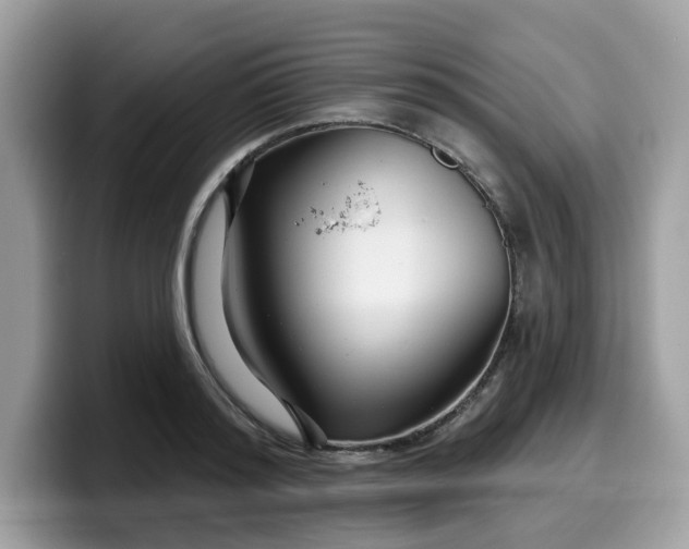 X0000099580796200805301558