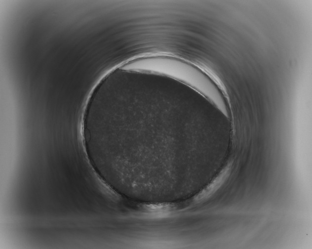 X0000099580797200805301558