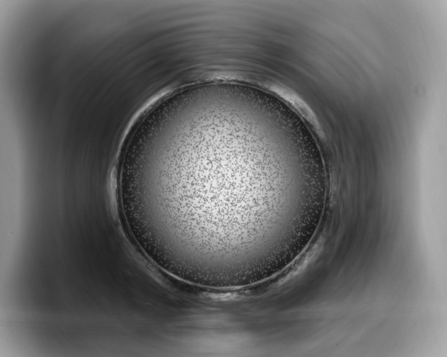 X0000099580798200805301558