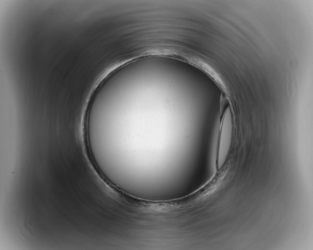 X0000099580803200805301558