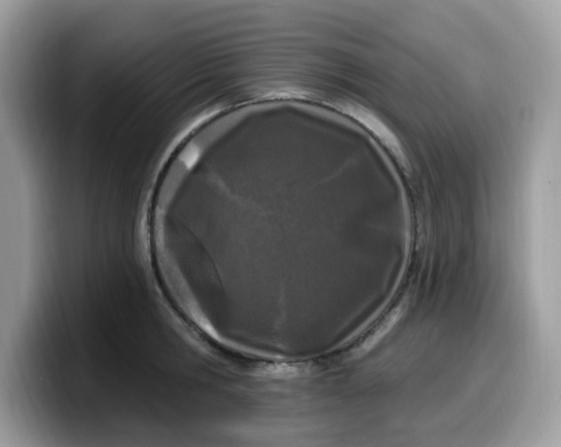 X0000099580806200805301558