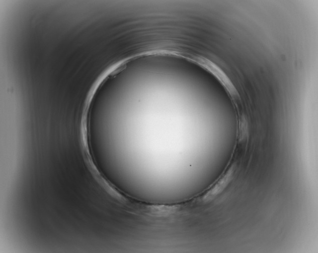 X0000099580812200805301558